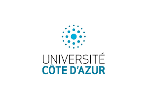 ubnivercity