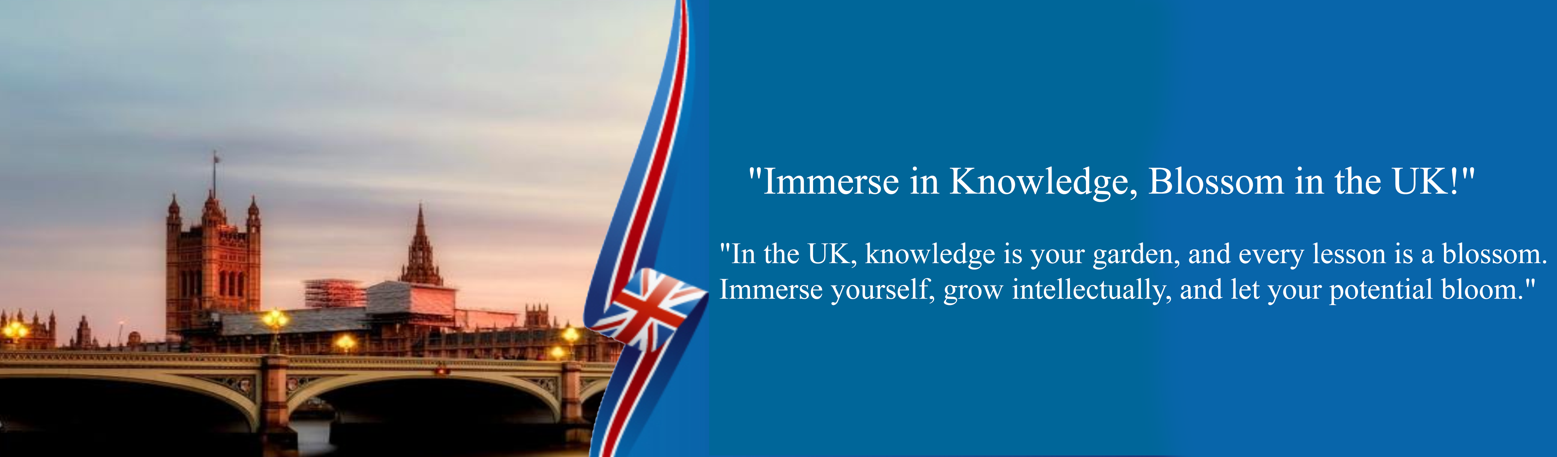 uk slider